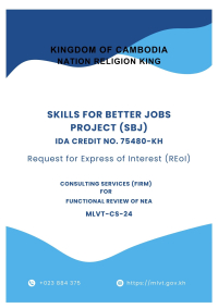 SBJ-CONSULTING SERVICES (FIRM) FOR FUNCTIONAL REVIEW OF NEA